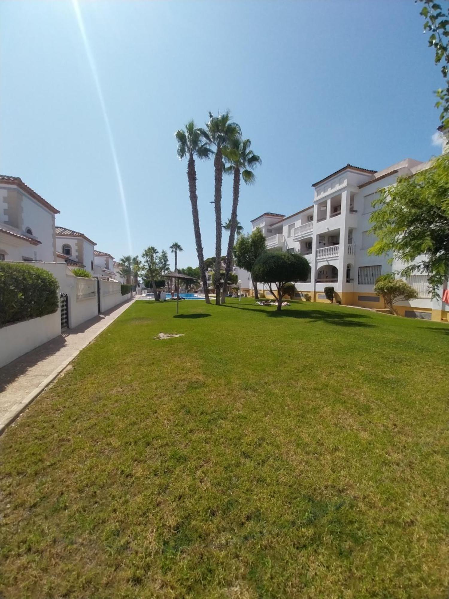 Charming Apartment In Front Of Villamartin Golf And Plaza Esterno foto