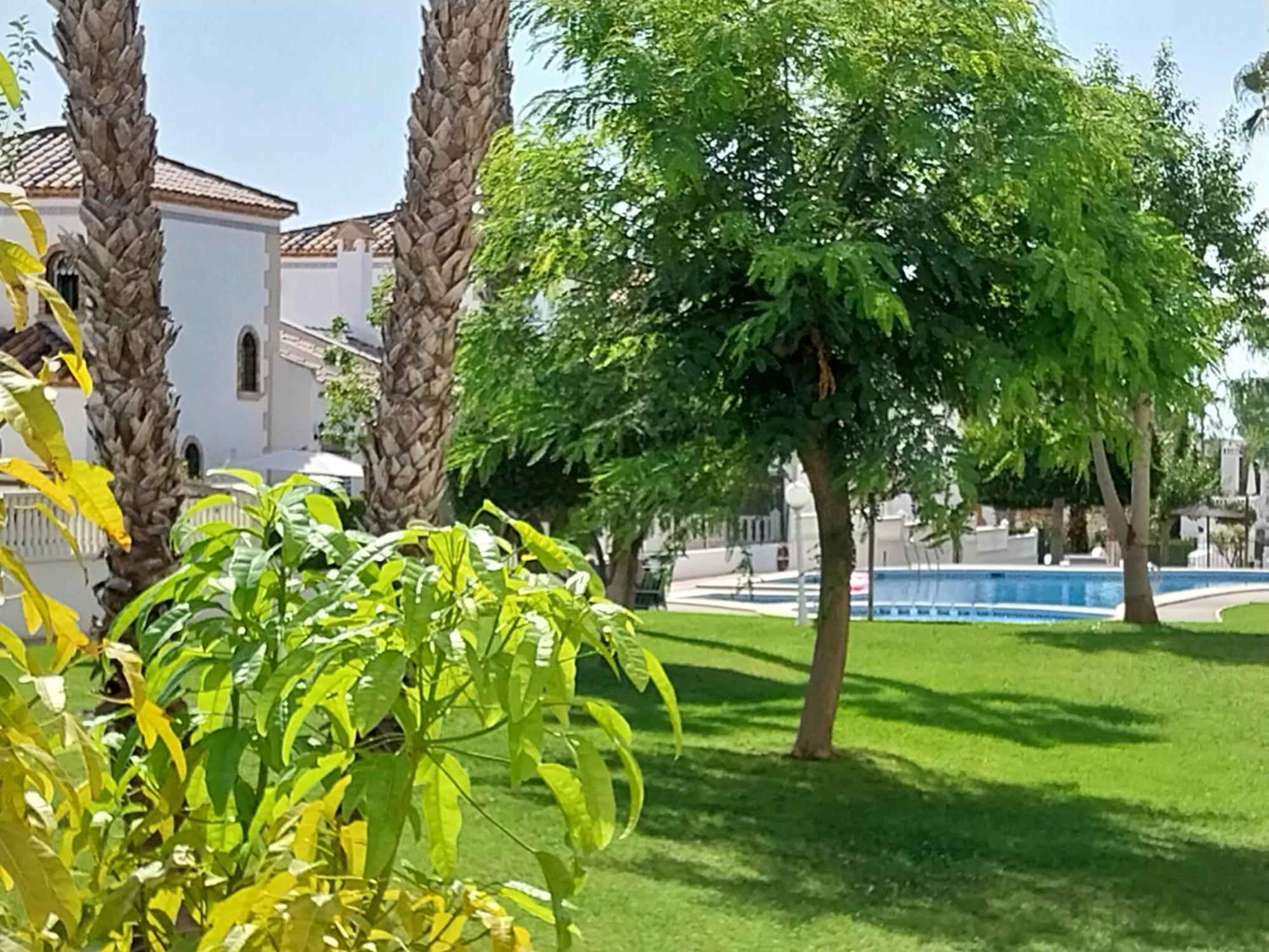 Charming Apartment In Front Of Villamartin Golf And Plaza Esterno foto