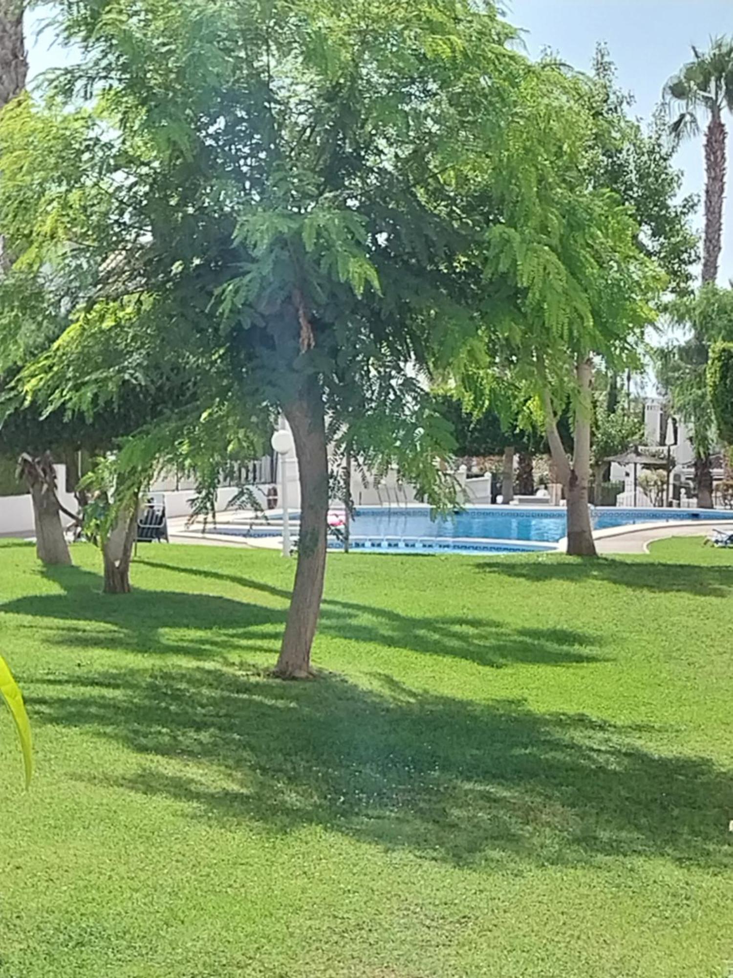 Charming Apartment In Front Of Villamartin Golf And Plaza Esterno foto